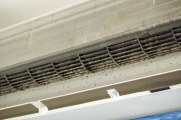Best Air Vent Cleaning Services  in Forest, MS