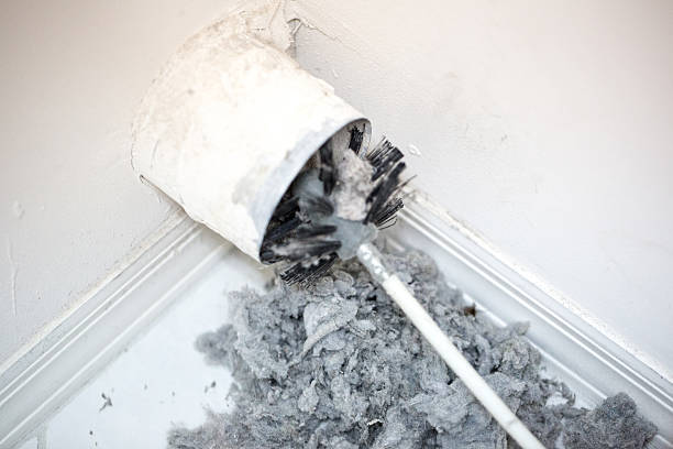 Best HVAC System Cleaning  in Forest, MS